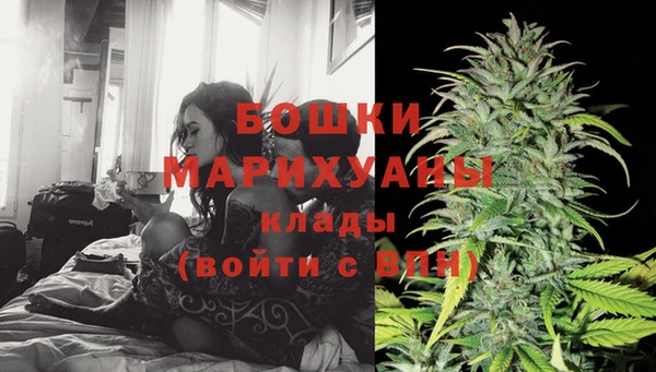 PSILOCYBIN Баксан