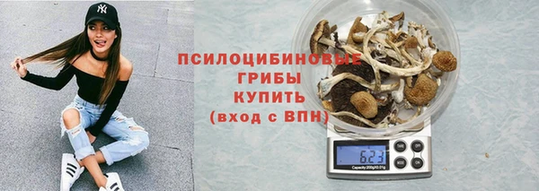 шишки Балахна