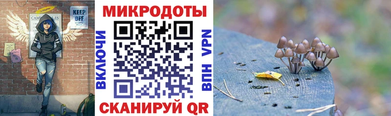 где найти   Вяземский  Псилоцибиновые грибы Psilocybine cubensis 